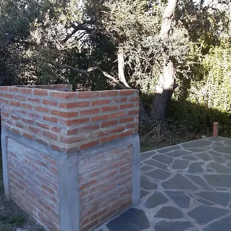 El Cantar de los Pájaros Merlo Exterior foto